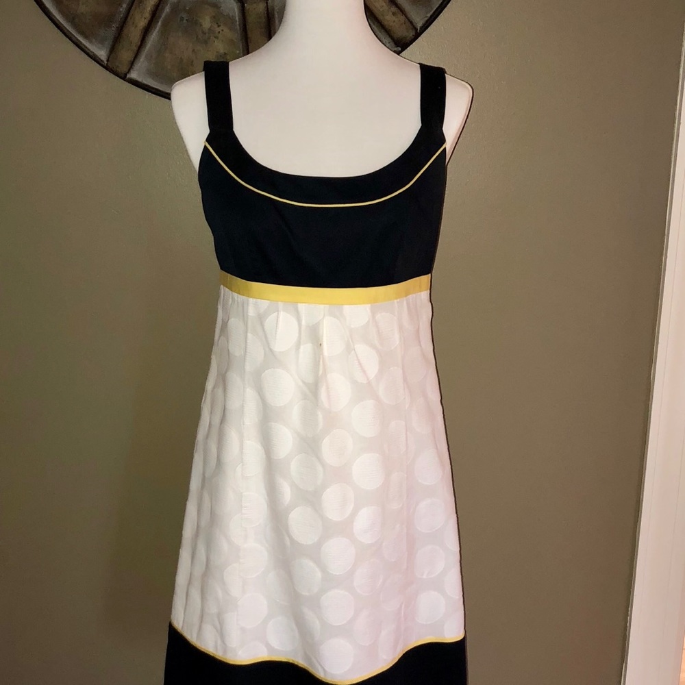Ann Taylor black and white A line dress.